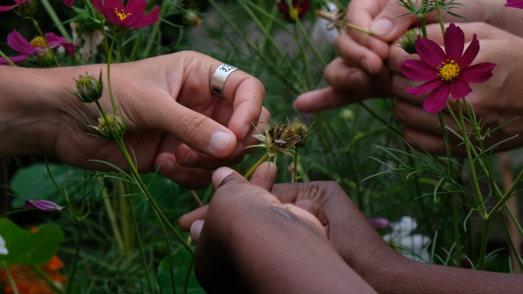 Dekoloniaal ecofeminisme: een korte inleiding