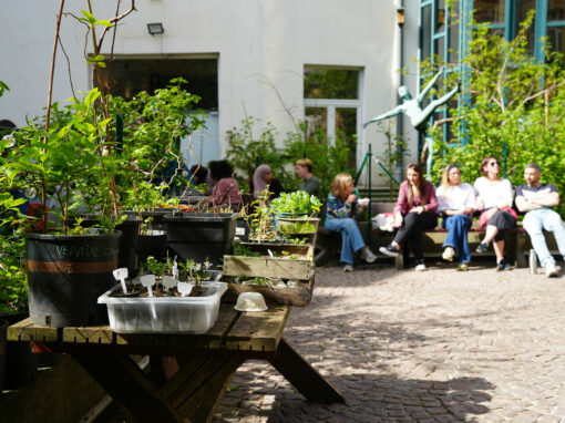 Jardin